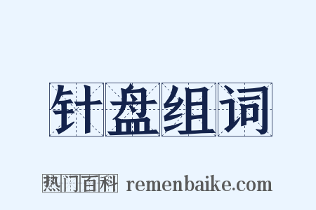 针盘组词是什么意思的图片